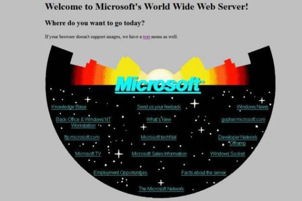 Microsoft 1994